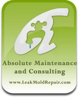 Absolute Maintenance and Consulting photo