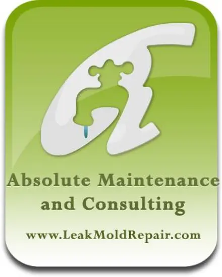 Absolute Maintenance and Consulting photo