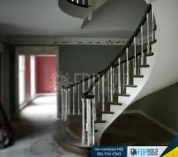 FDP Mold Remediation of Germantown photo