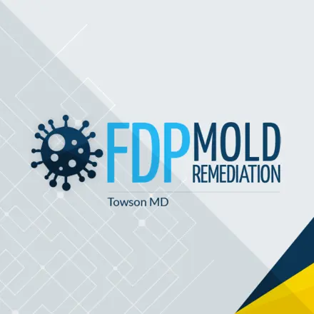 FDP Mold Remediation of Towson logo