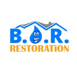 Best Option Restoration (B.O.R.) of South Charlotte logo