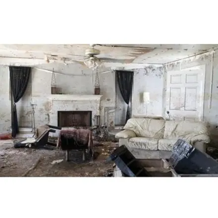 Cosmos Restoration Co photo