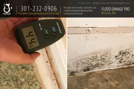 Flood Damage Pro of Olney photo