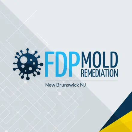FDP Mold Remediation of New Brunswick logo
