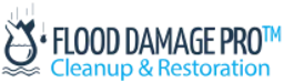 Flood Damage Pro of Centreville logo