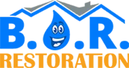 Best Option Restoration (B.O.R.) of Travis County logo